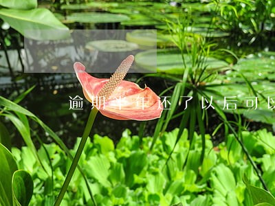 逾期半年还了以后可以买房子吗 逾期半年还了以后可以买房子吗