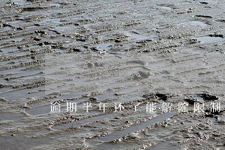 逾期半年还了能解除限制吗 逾期半年还了能解除限制吗