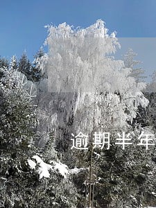 逾期半年还了钱 逾期半年还了钱