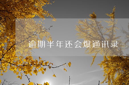 逾期半年还会爆通讯录 逾期半年还会爆通讯录