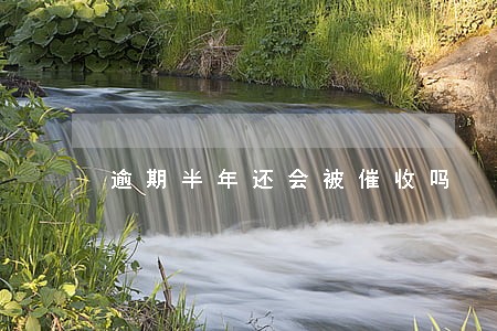 逾期半年还会被催收吗 逾期半年还会被催收吗