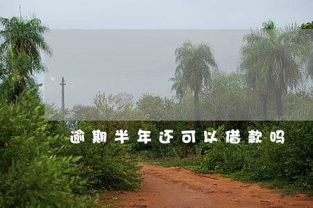 逾期半年还可以借款吗 逾期半年还可以借款吗