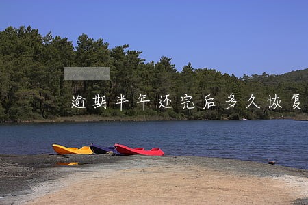 逾期半年还完后多久恢复征信 逾期半年还完后多久恢复征信