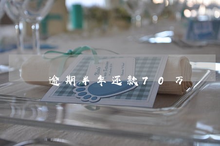 逾期半年还款70万 逾期半年还款70万