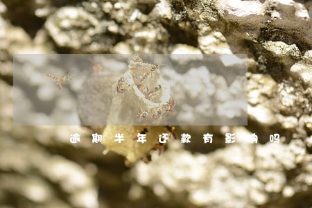逾期半年还款有影响吗 逾期半年还款有影响吗