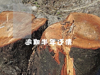 逾期半年还清 逾期半年还清