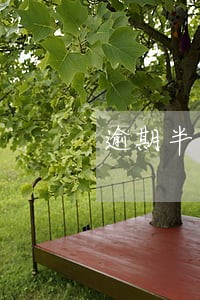 逾期半年还清了后面有没有影响 逾期半年还清了后面有没有影响