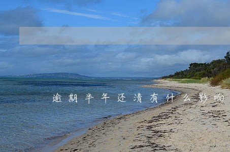 逾期半年还清有什么影响 逾期半年还清有什么影响