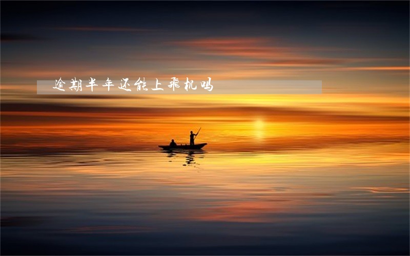 逾期半年还能上飞机吗 逾期半年还能上飞机吗