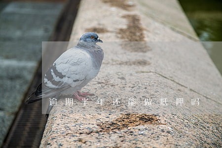 逾期半年还能做抵押吗 逾期半年还能做抵押吗