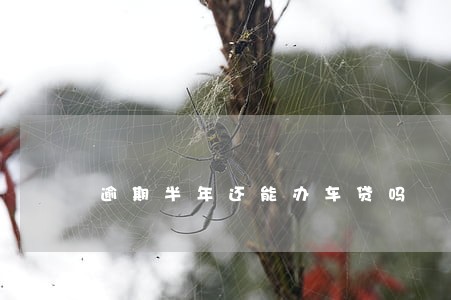 逾期半年还能办车贷吗 逾期半年还能办车贷吗