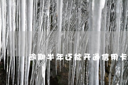 逾期半年还能开通信用卡