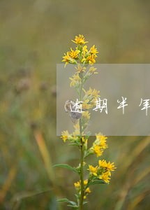 逾期半年还能申请公租房吗 逾期半年还能申请公租房吗
