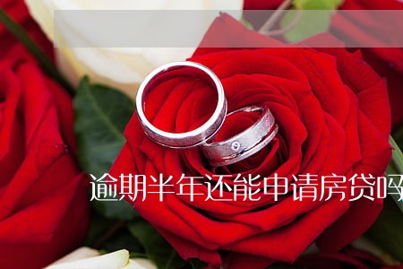 逾期半年还能申请房贷吗 逾期半年还能申请房贷吗