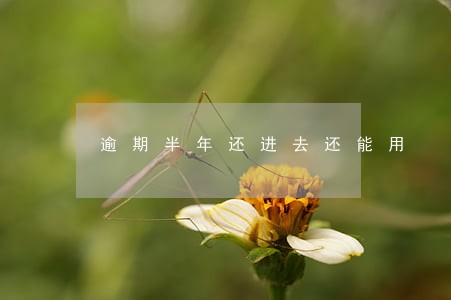 逾期半年还进去还能用 逾期半年还进去还能用