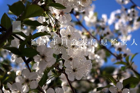 逾期半月会发信息给家人吗 逾期半月会发信息给家人吗