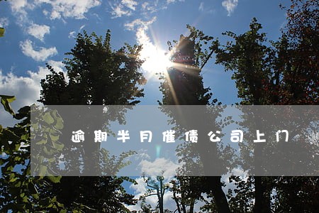 逾期半月催债公司上门 逾期半月催债公司上门