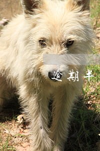 逾期半月收到文件是什么意思 逾期半月收到文件是什么意思