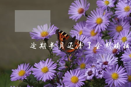 逾期半月还清了会影响征信吗 逾期半月还清了会影响征信吗