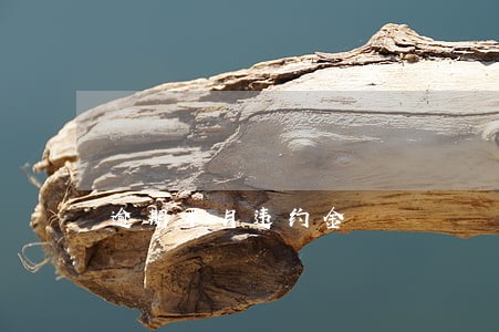 逾期半月违约金 逾期半月违约金