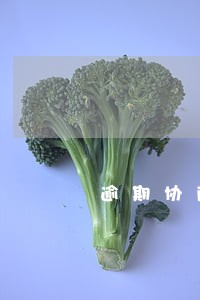 逾期协商不偿还怎么办 逾期协商不偿还怎么办