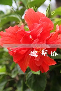 逾期协商不成功可以还一点点吗 逾期协商不成功可以还一点点吗