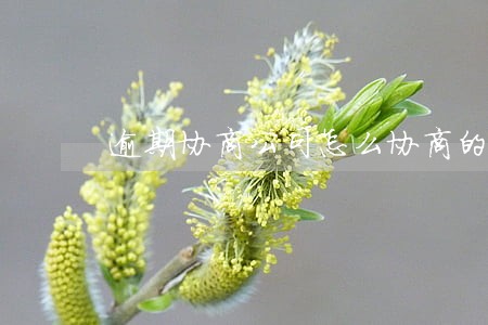 逾期协商公司怎么协商的 逾期协商公司怎么协商的