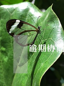 逾期协商公司要收费吗 逾期协商公司要收费吗