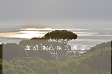 逾期协商减免本金 逾期协商减免本金