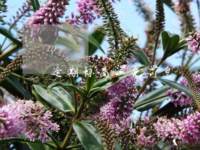 逾期协商减免罚息 逾期协商减免罚息