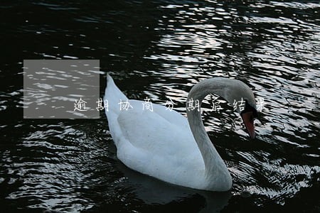 逾期协商分期后结果 逾期协商分期后结果