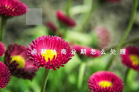 逾期协商分期怎么处理 逾期协商分期怎么处理
