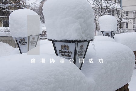 逾期协商分期成功 逾期协商分期成功