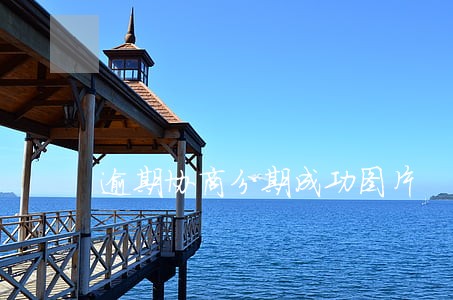 逾期协商分期成功图片