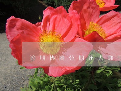 逾期协商分期还去哪里 逾期协商分期还去哪里