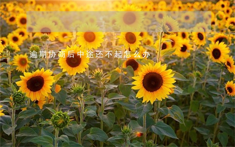 逾期协商后中途还不起怎么办 逾期协商后中途还不起怎么办
