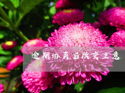 逾期协商后改变主意 逾期协商后改变主意