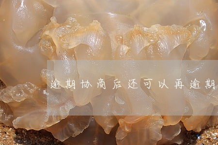 逾期协商后还可以再逾期吗 逾期协商后还可以再逾期吗