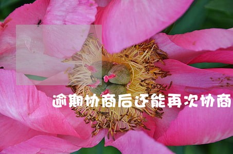 逾期协商后还能再次协商吗 逾期协商后还能再次协商吗