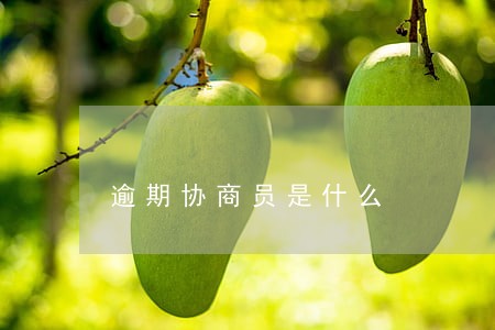 逾期协商员是什么 逾期协商员是什么