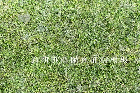 逾期协商困难证明模板 逾期协商困难证明模板