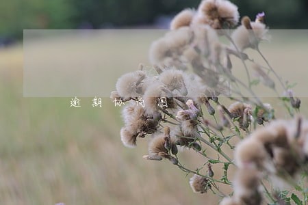 逾期协商图 逾期协商图