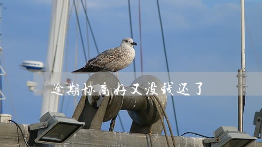 逾期协商好又没钱还了 逾期协商好又没钱还了