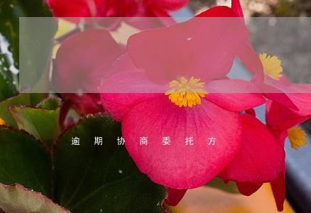 逾期协商委托方 逾期协商委托方