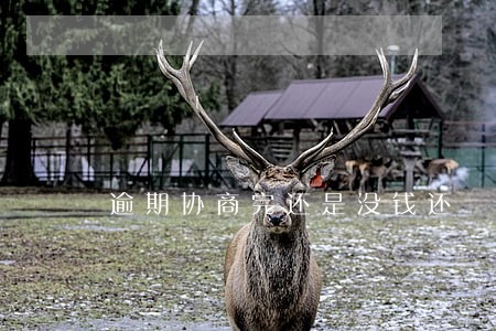 逾期协商完还是没钱还 逾期协商完还是没钱还