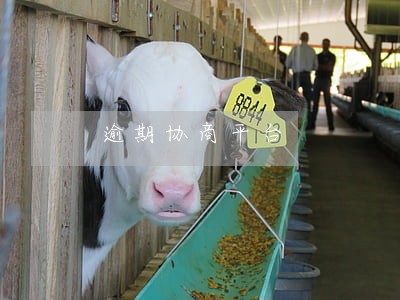 逾期协商平台 逾期协商平台