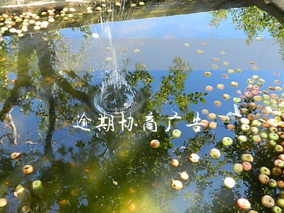 逾期协商广告 逾期协商广告