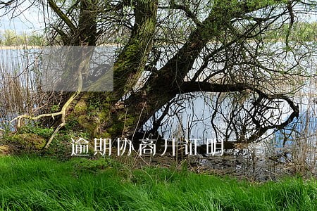 逾期协商开证明 逾期协商开证明