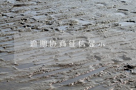 逾期协商征信显示 逾期协商征信显示