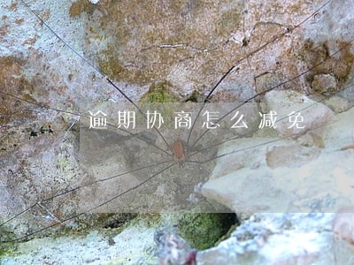 逾期协商怎么减免